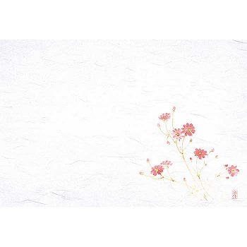 【特価セール】四季紙 千寿 秋桜 M30-212